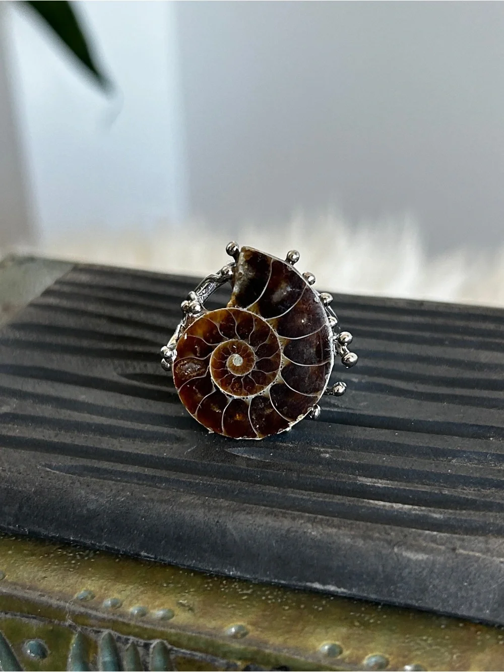 Handcrafted Brown Ammonite Shell Ring in Silver Setting